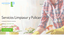 Tablet Screenshot of limpiasur.com